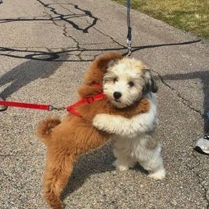 Meet your Posher, Leah